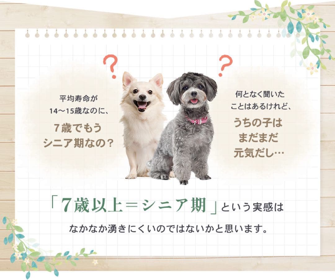 モグワン ドッグフード シニア用 1.5kg