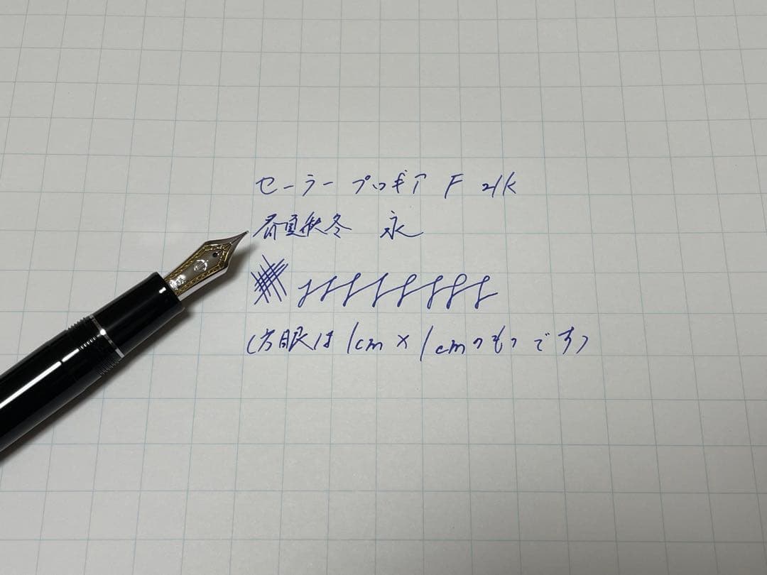 セーラー プロフェッショナルギア F 細字 21k 黒 銀