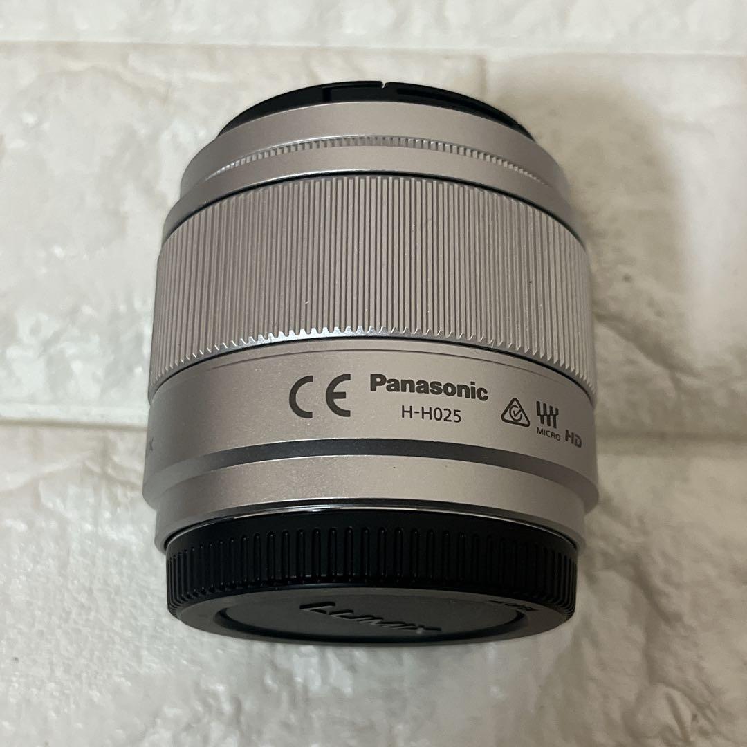 Panasonic DC-GF9W ダブルレンズキット ミラーレス一眼カメラ