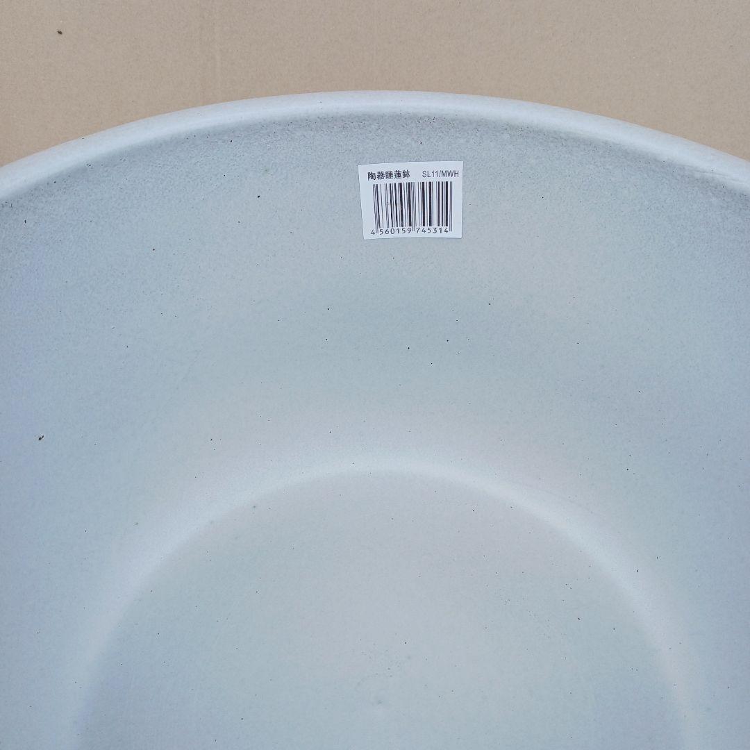 新品∅43　5点セット　陶器睡蓮鉢　メダカ鉢　難有　白　ホワイト　ルーバーMWH