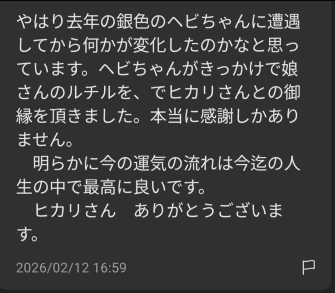 最高品質　カラフルラビットヘアー　パワーストーン　10mm　鑑別書つき