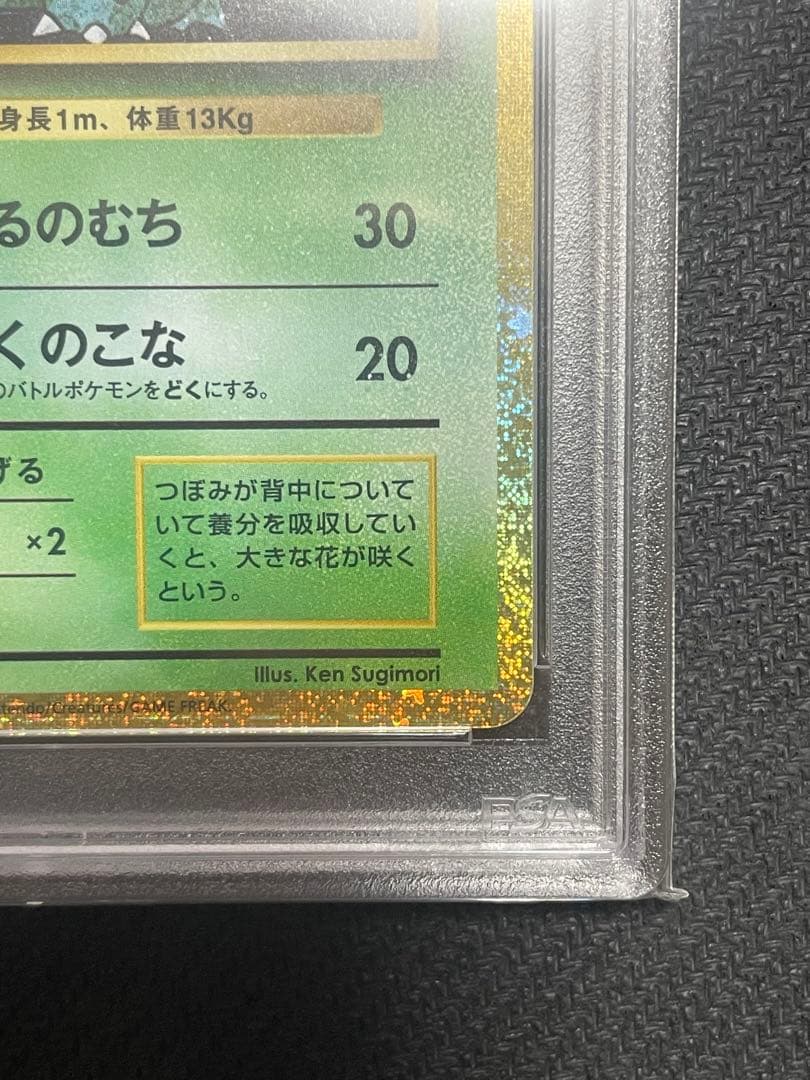 フシギダネ フシギソウ フシギバナ CLASSIC 連番 ポケカ