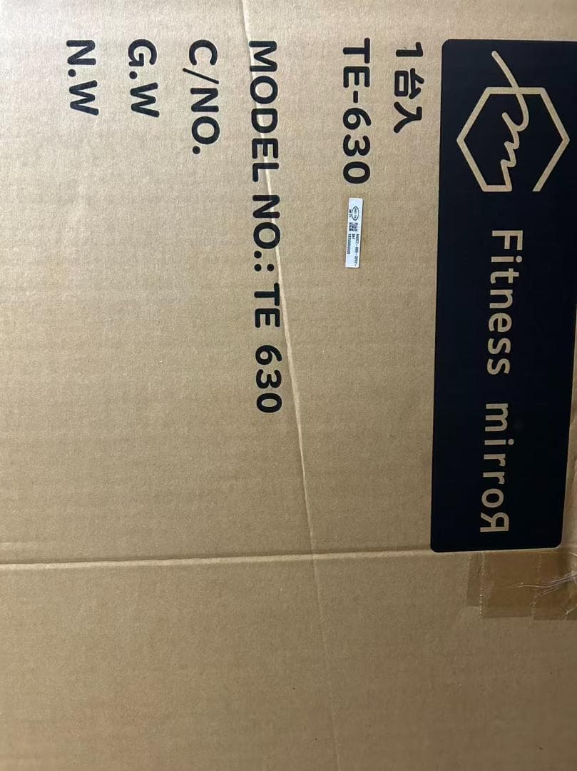Fitness mirroR フィットネスミラー TE-630