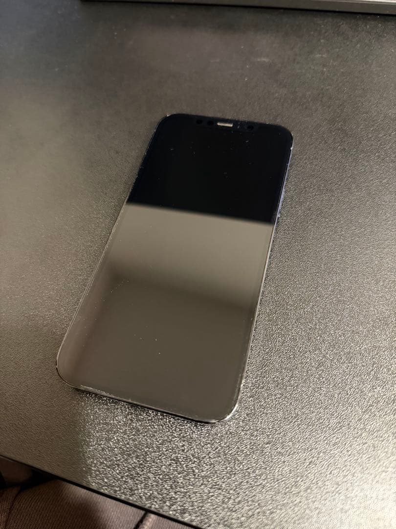 iPhone 12 Pro (米国モデル)