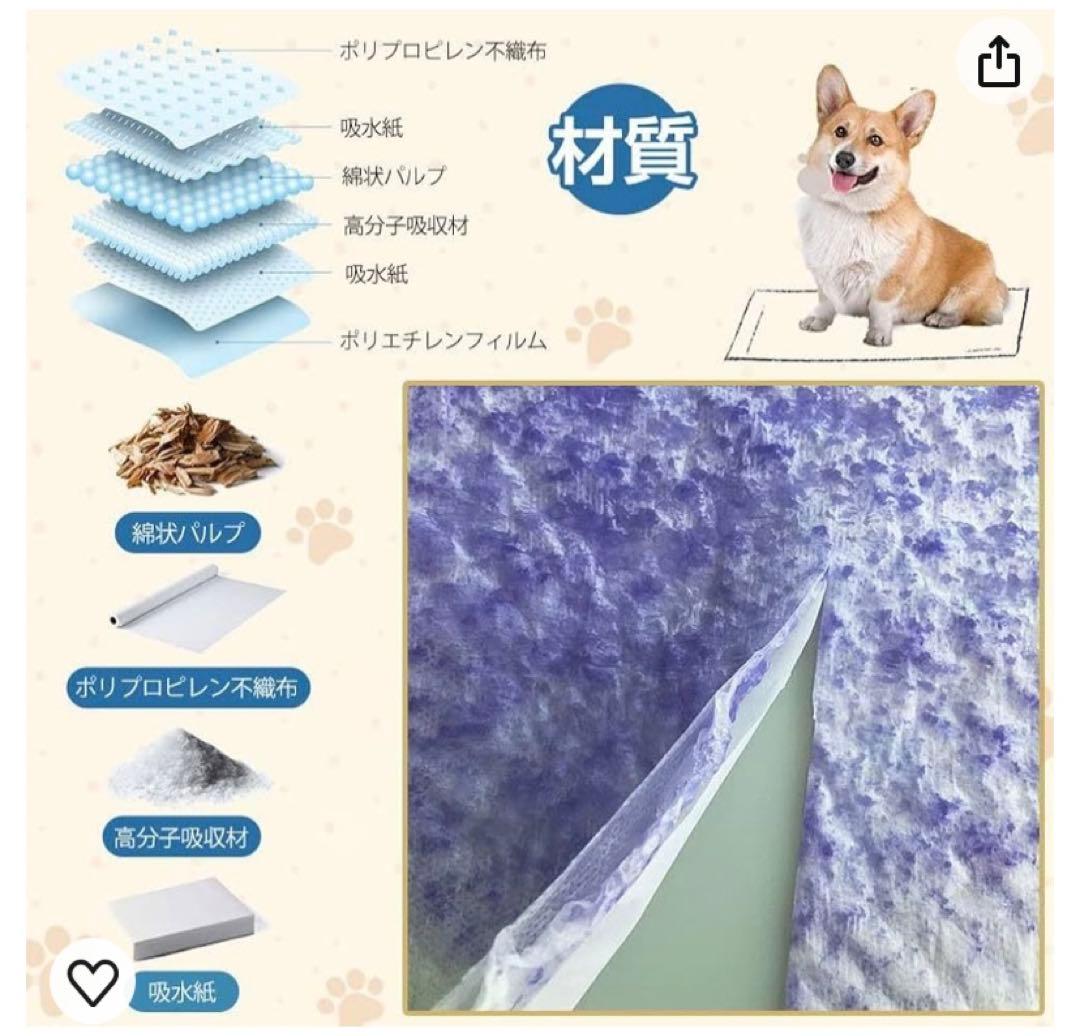 ペットシーツ 薄型 レギュラートイレシート 大容量 レギュラー 800枚