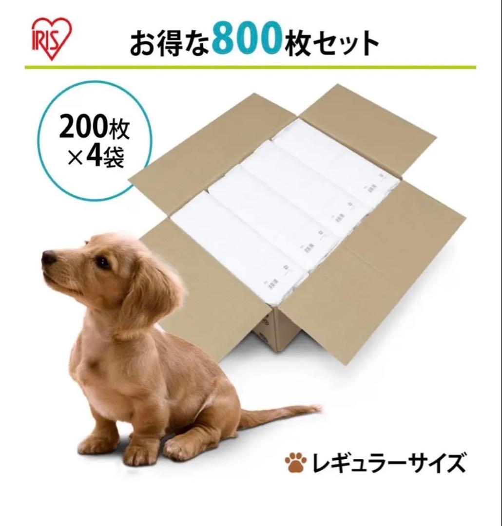 ペットシーツ 薄型 レギュラートイレシート 大容量 レギュラー 800枚