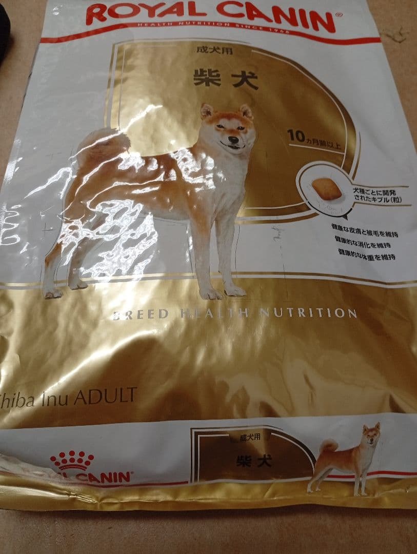  CANIN 柴犬用 ドライフード 8kg　２袋　16kg