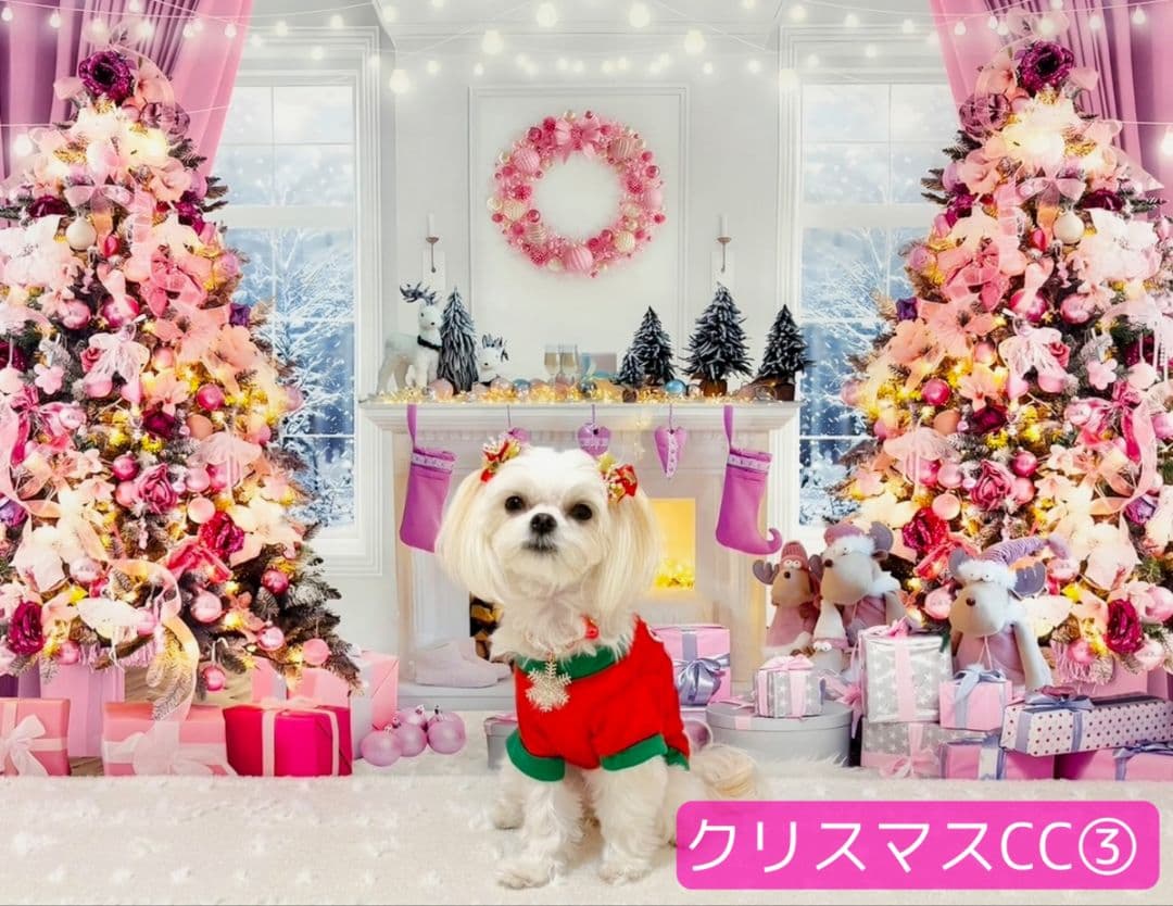背景布+トリミングチョーカーリボン　50個　どんぐり　松ぼっくり　秋　紅葉