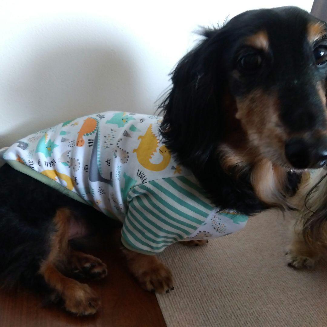 犬服　ハンドメイド　ラグランタンクトップグリーン
