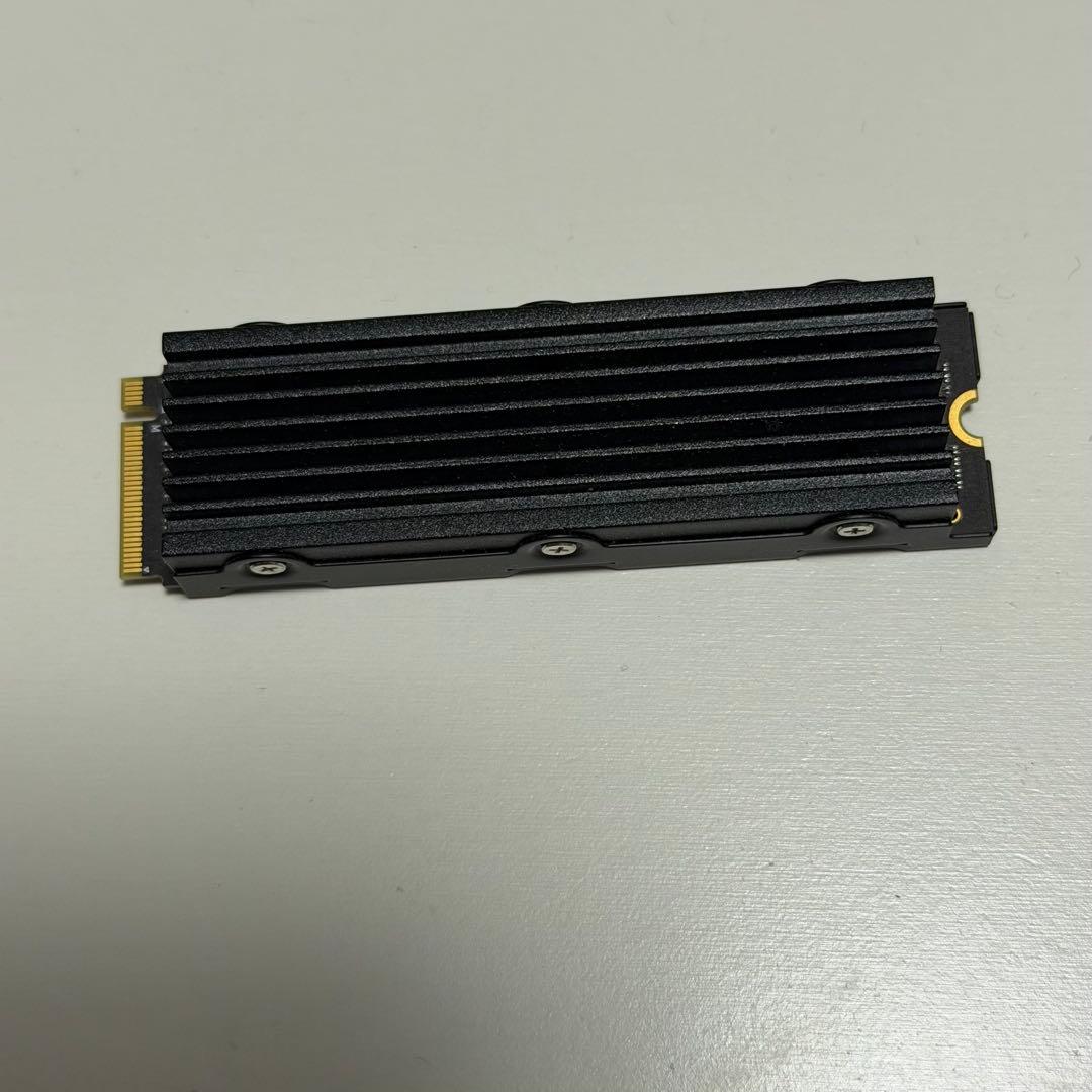 箱無し Nextorage 2TB M.2 SSD NEM-PAC2TB