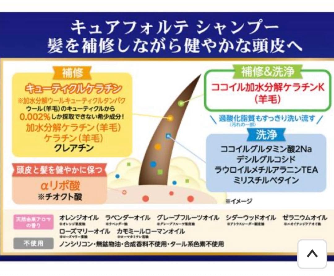 キュアフォルテ Cure Forte シャンプー トリートメント セット