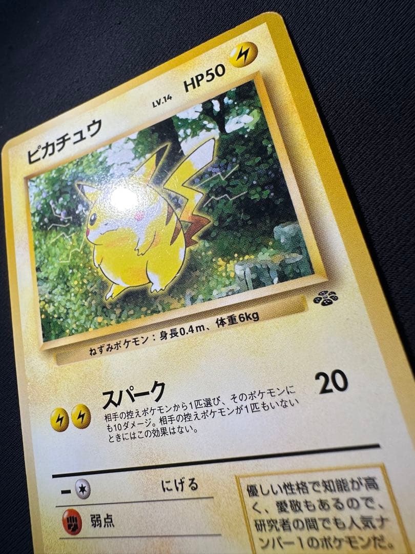 旧裏 良品 ピカチュウ ポケモンジャングル②センタリング○
