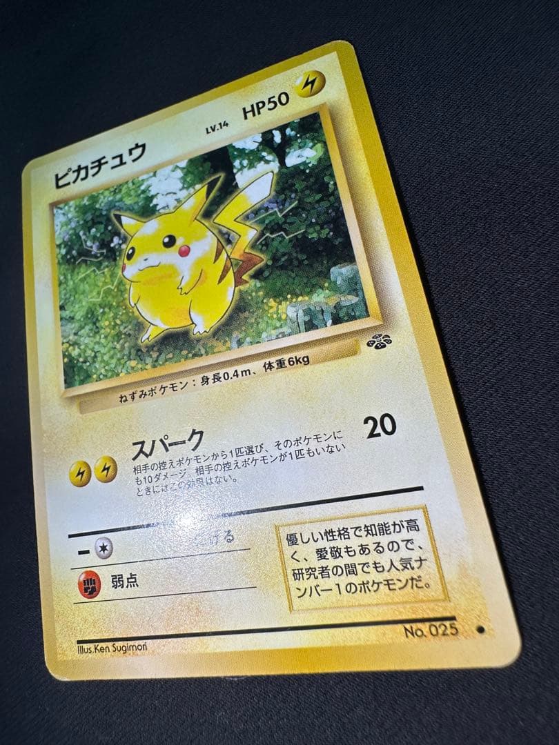 旧裏 良品 ピカチュウ ポケモンジャングル②センタリング○