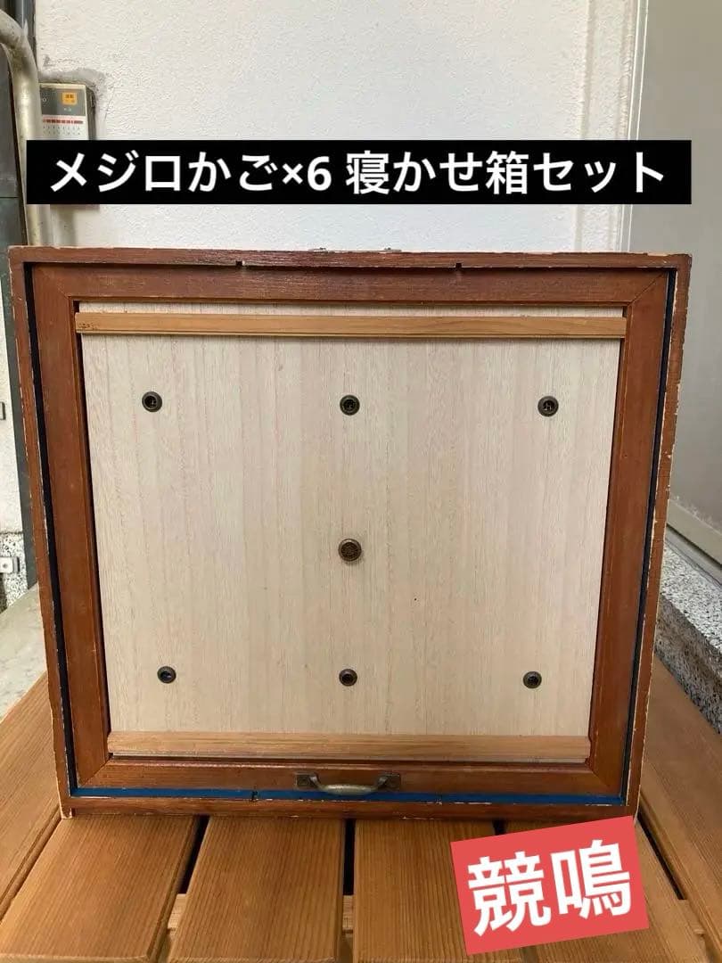 竹細工　メジロかご　鳥かご　 6個　木製寝かせ箱セット