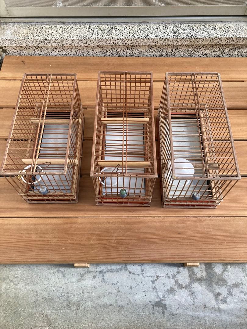 竹細工　メジロかご　鳥かご　 6個　木製寝かせ箱セット