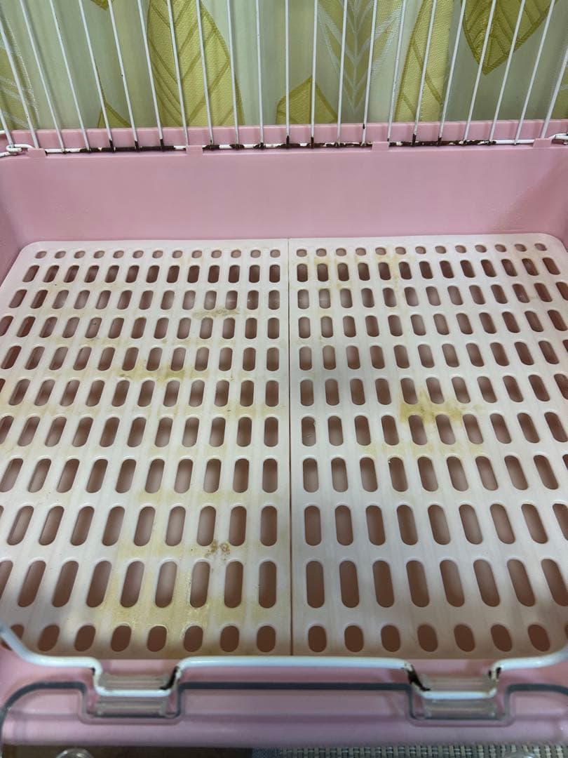 いもさん　専用まとめ買いピンク、茶色ケージ 取り外しトレイ付き