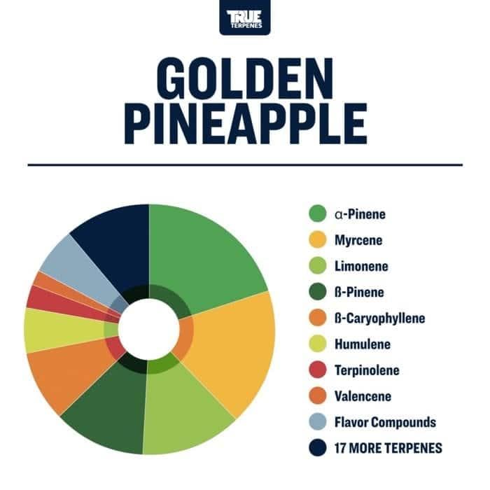TRUE テルペン 香料 CBD CBN CBG 10ml トラピックサンダー