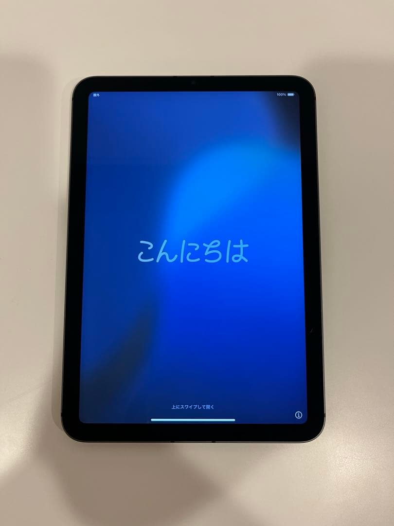 iPad mini 6 Wi-Fi + Cellular 64GB 本体
