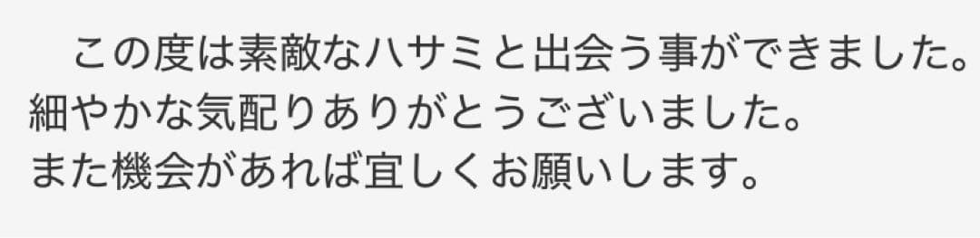 プロ用セニングシザー溝無し理美容師スキバサミ＋トリマートリミングペット全部可