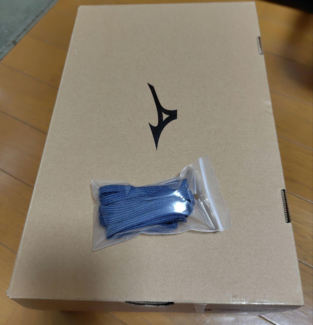 Mizuno 安全靴　オールマイティHW11L