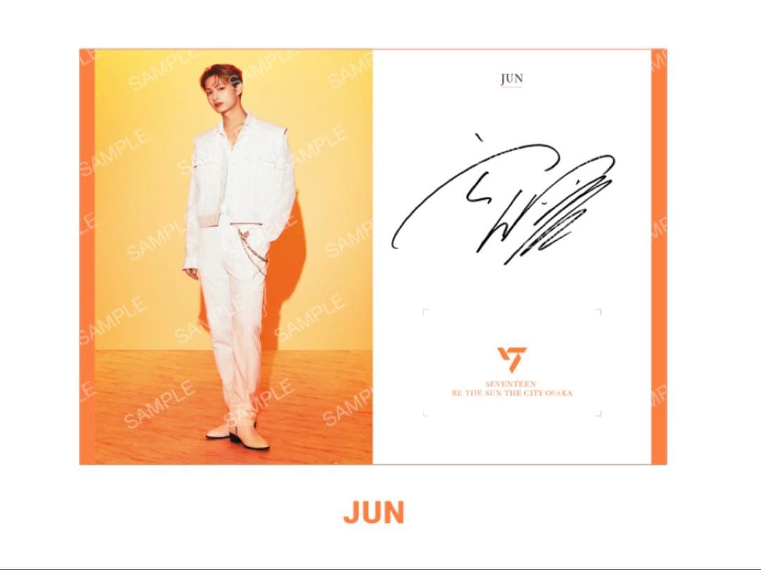SEVENTEEN 南海ラピート JUN メモリアルカード コンプセット