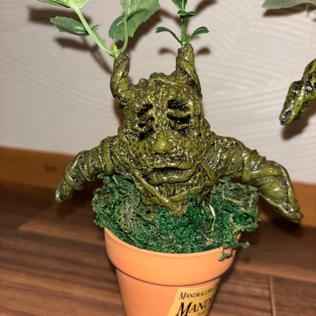 マンドレイク アンティーク雑貨 観葉植物