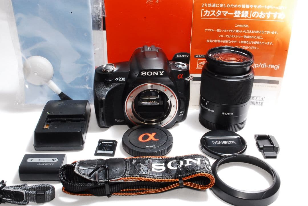 ★春の撮影に♪初心者さん向け★SONY α230レンズキット