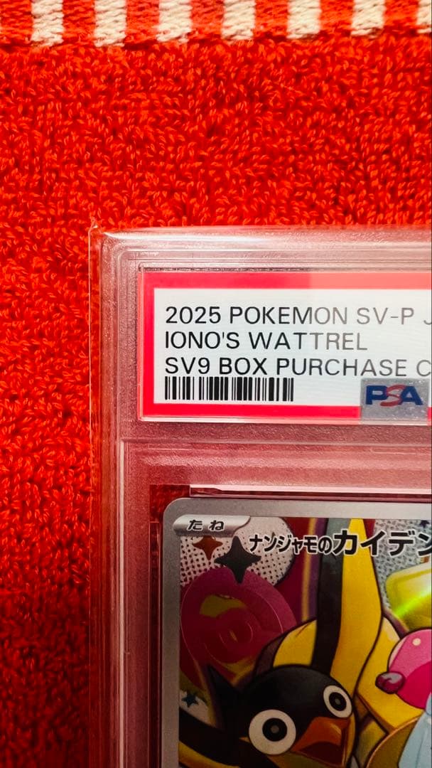 ナンジャモのカイデン PSA10 プロモカード 232/SV-P