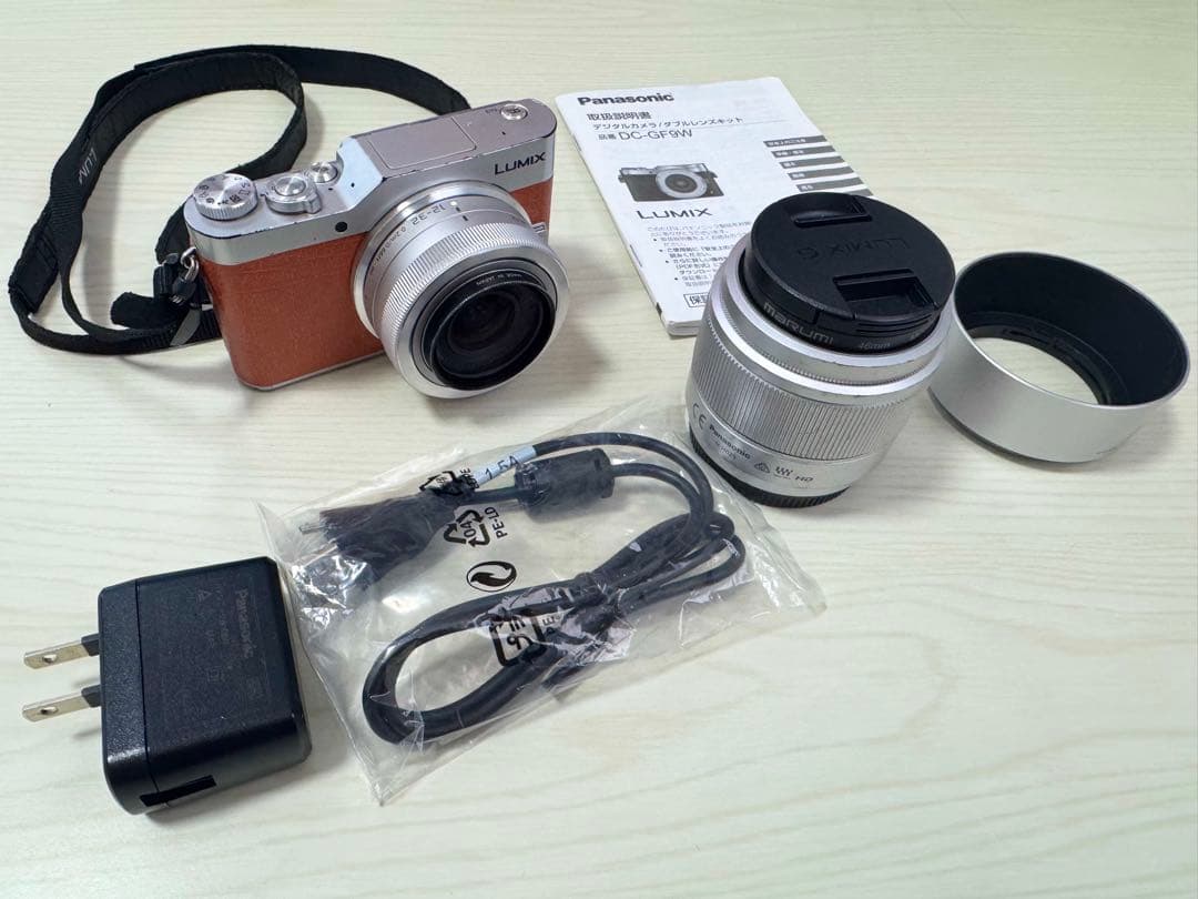 【簡易三脚&収納ポーチ2種付】Panasonic LUMIXダブルレンズキット
