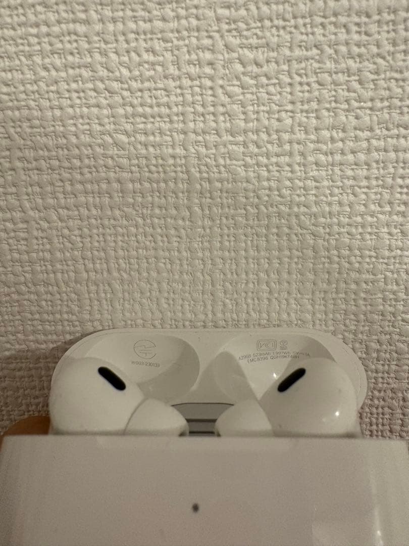 AirPods Pro2（Type C）