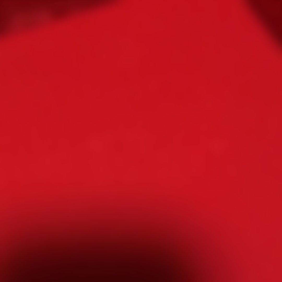 【未使用希少】漆器 文箱 花柄　牡丹文庫