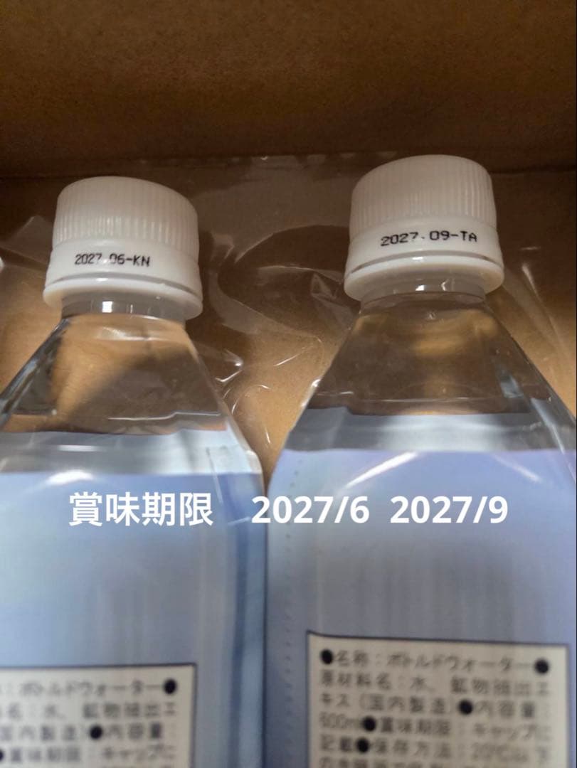 エコウォーター　ライフエッセンス ミネラルウォーター 600ml 2本セット