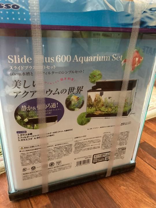 ガラス水槽