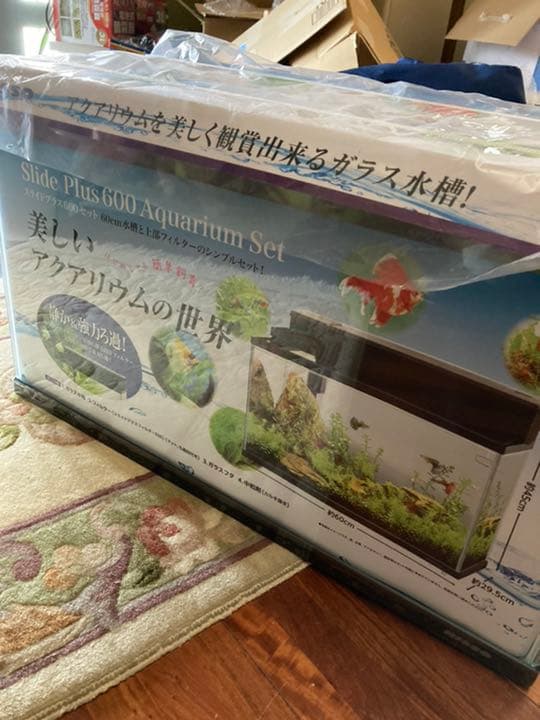 ガラス水槽