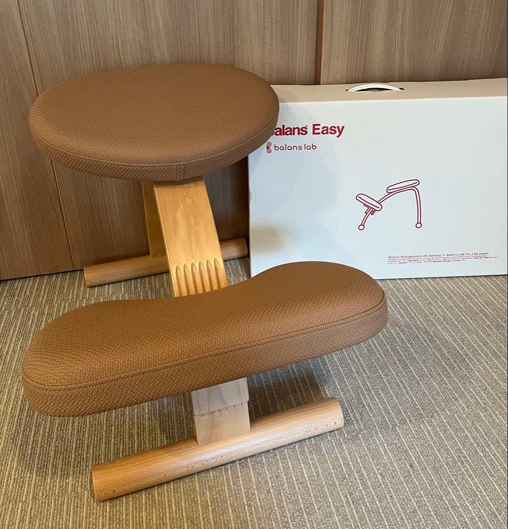 ほぼ新品【Balans Easy】姿勢矯正チェア　カバー付き