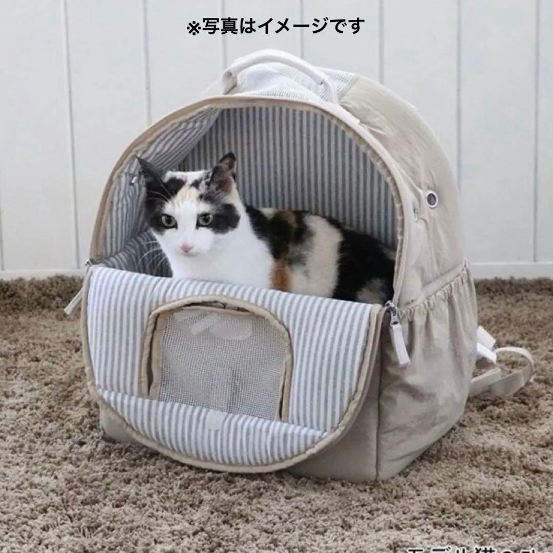 美品✨完売✨PET PARADISE ペットキャリー 3WAY ベージュ