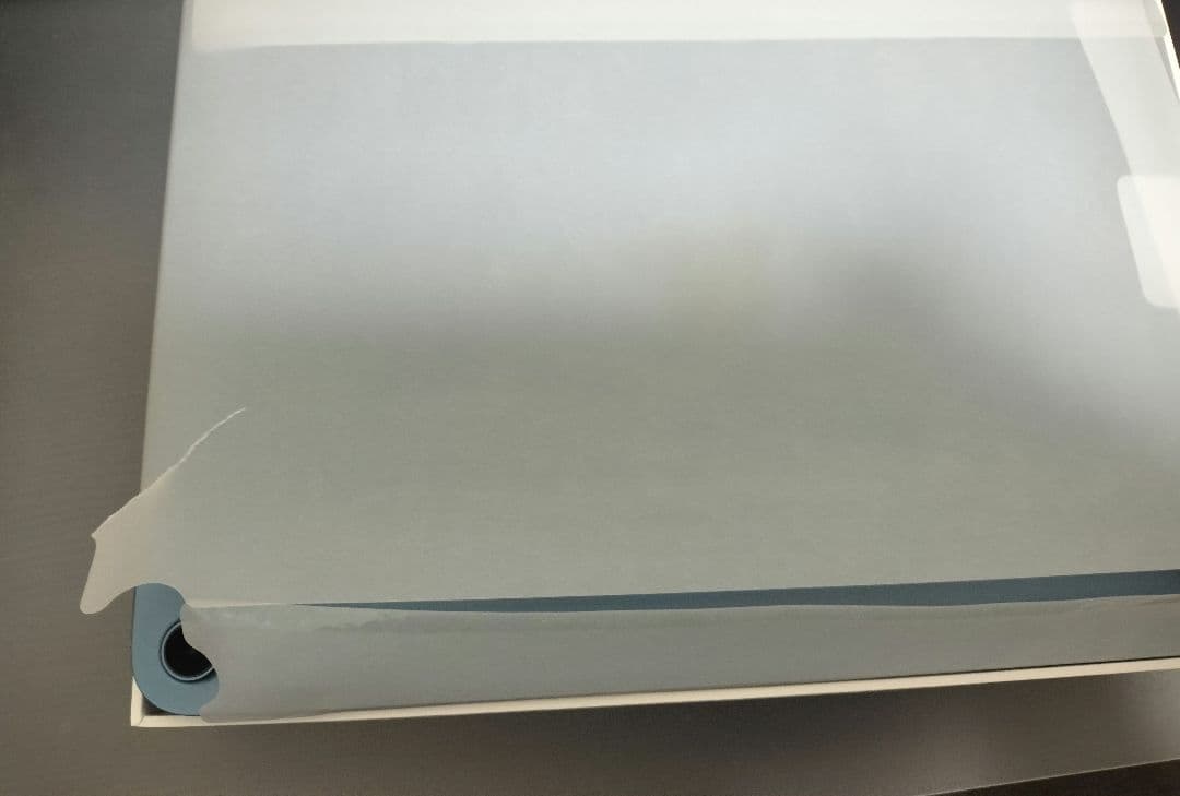 Apple iPad Air 本体 展示品 デモ機 美品