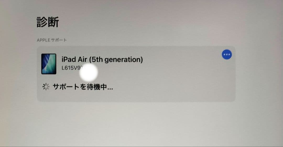 Apple iPad Air 本体 展示品 デモ機 美品