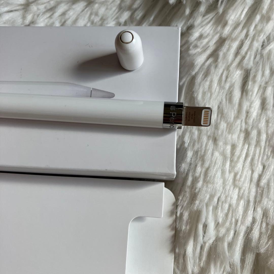 【早い者勝ち】iPad Pro 10.5 256GB 付属品多数！ 【すぐ発送】