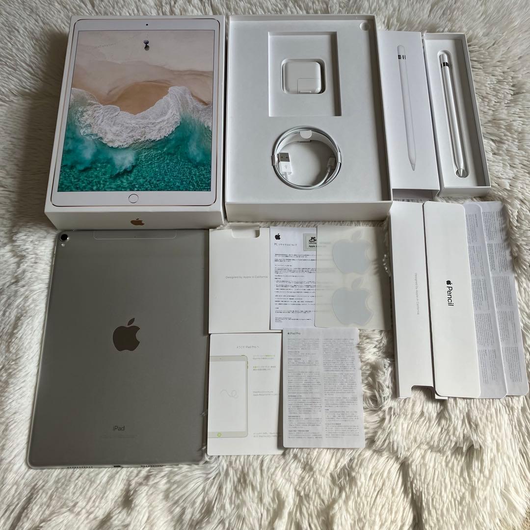 【早い者勝ち】iPad Pro 10.5 256GB 付属品多数！ 【すぐ発送】