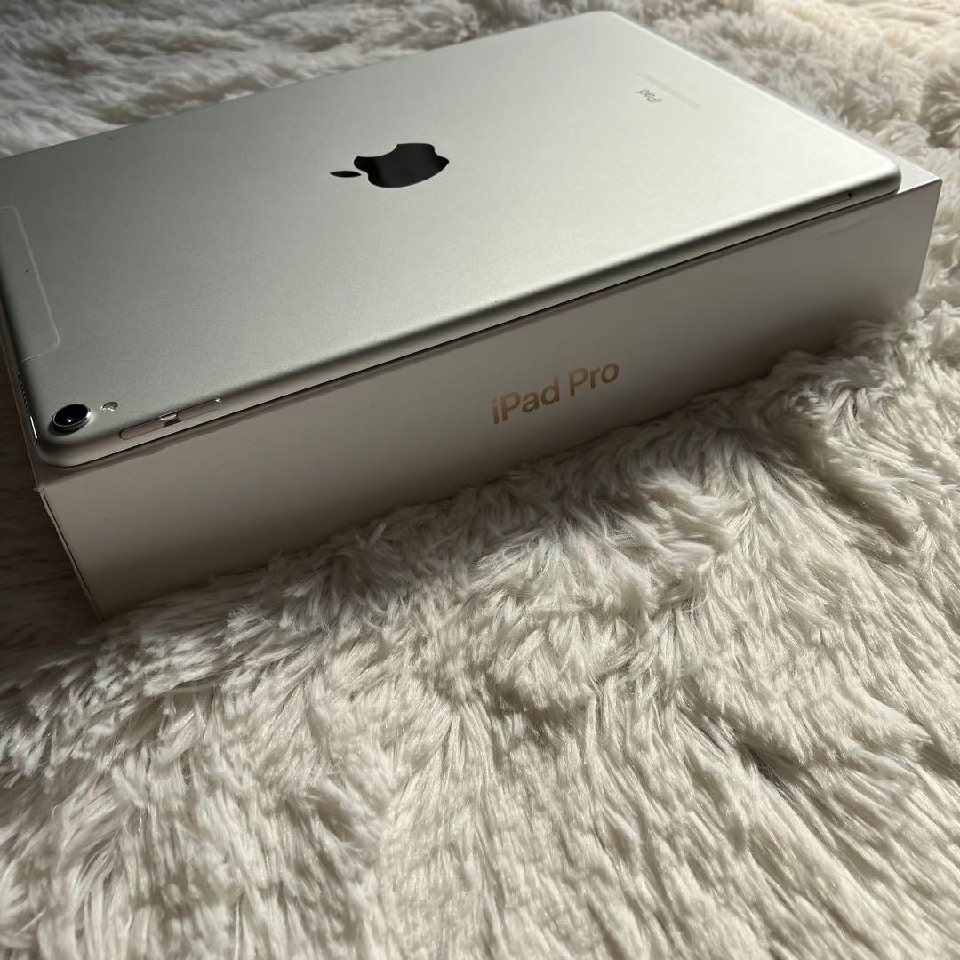 【早い者勝ち】iPad Pro 10.5 256GB 付属品多数！ 【すぐ発送】