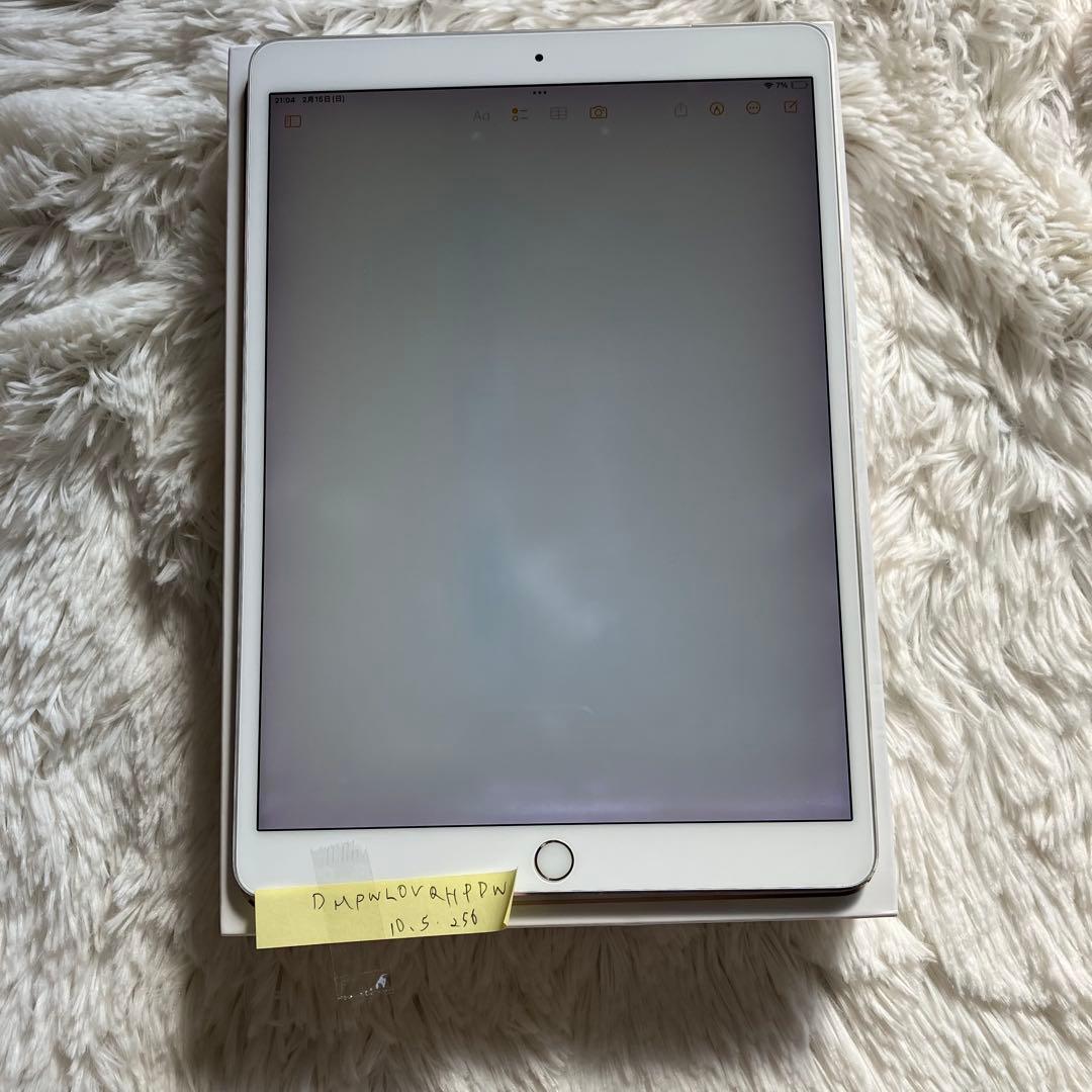 【早い者勝ち】iPad Pro 10.5 256GB 付属品多数！ 【すぐ発送】