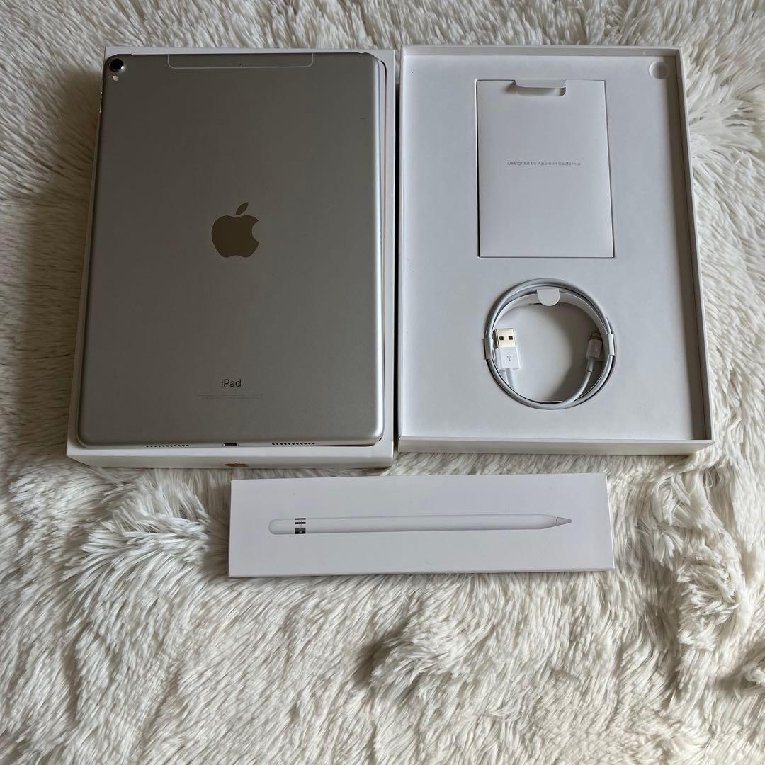 【早い者勝ち】iPad Pro 10.5 256GB 付属品多数！ 【すぐ発送】