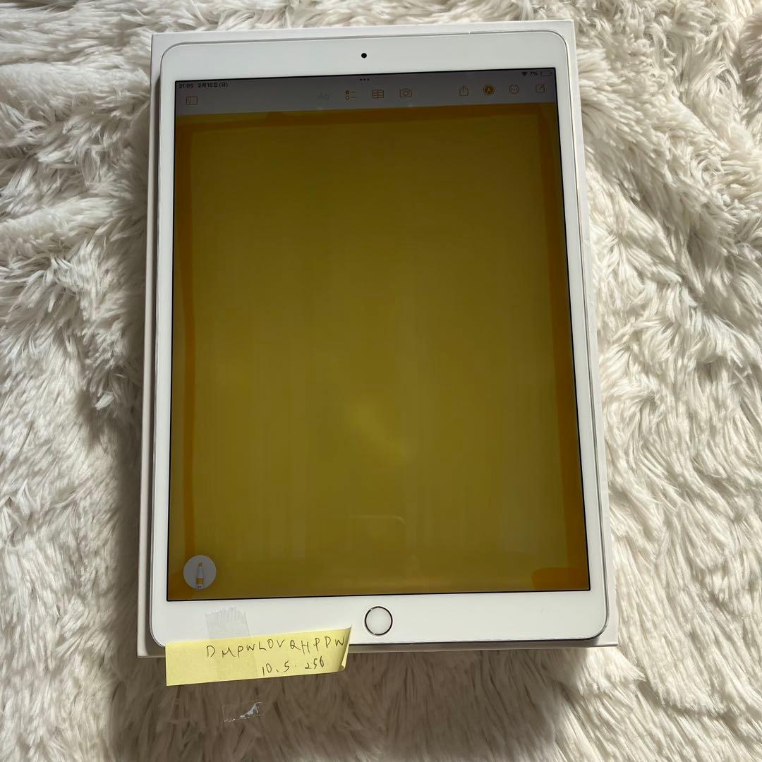 【早い者勝ち】iPad Pro 10.5 256GB 付属品多数！ 【すぐ発送】