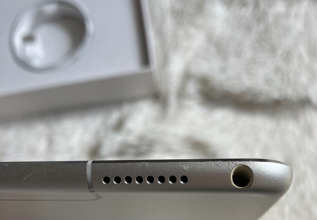 【早い者勝ち】iPad Pro 10.5 256GB 付属品多数！ 【すぐ発送】