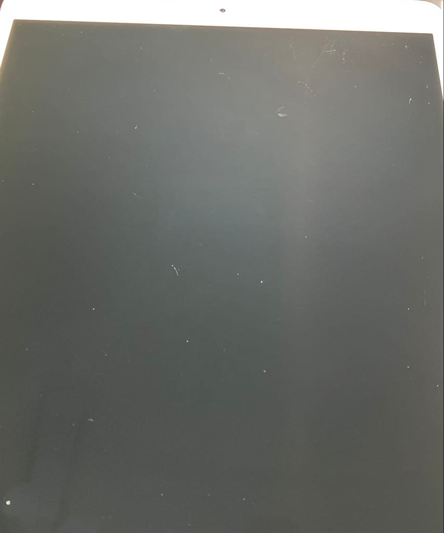 【早い者勝ち】iPad Pro 10.5 256GB 付属品多数！ 【すぐ発送】