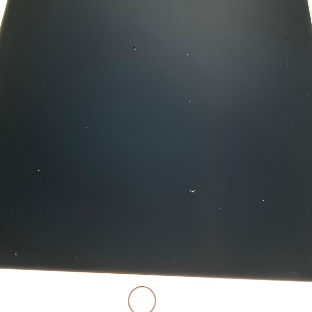 【早い者勝ち】iPad Pro 10.5 256GB 付属品多数！ 【すぐ発送】