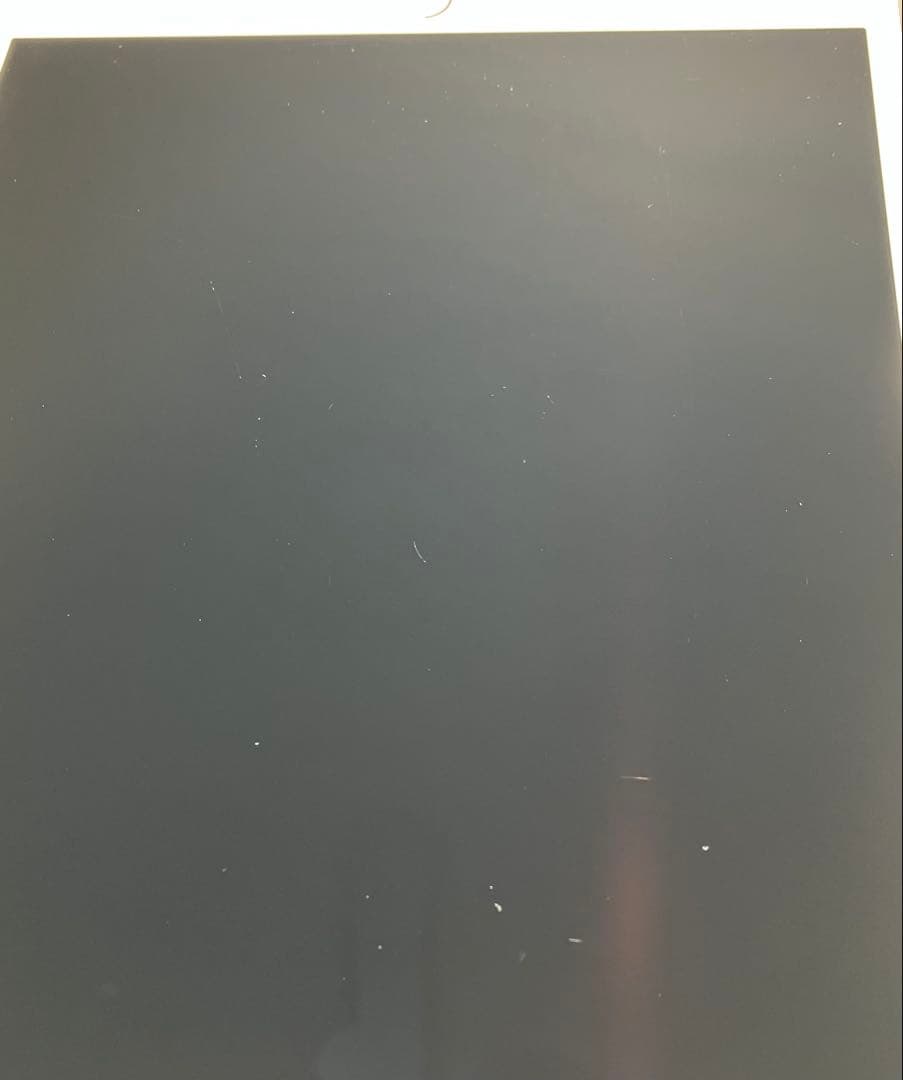 【早い者勝ち】iPad Pro 10.5 256GB 付属品多数！ 【すぐ発送】