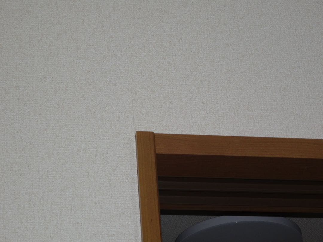 【オールドコンデジ】 SONY Cyber-shot DSC-WX300