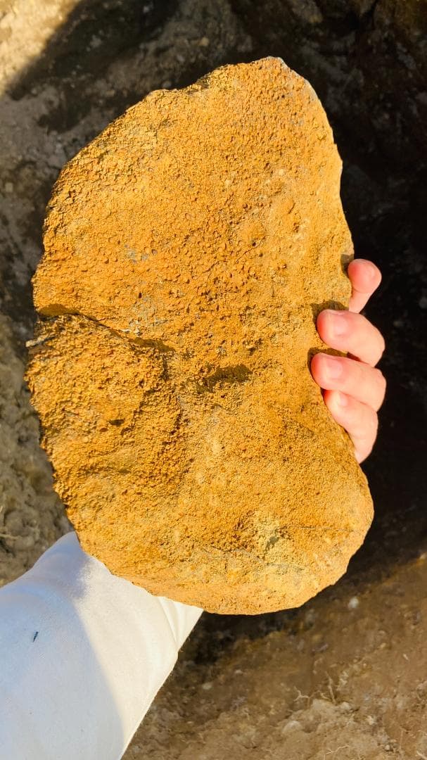 【お値引き交渉あり！】2kg超え母岩つき超特大ビビアナイト（藍鉄鉱）青緑色の鉱物